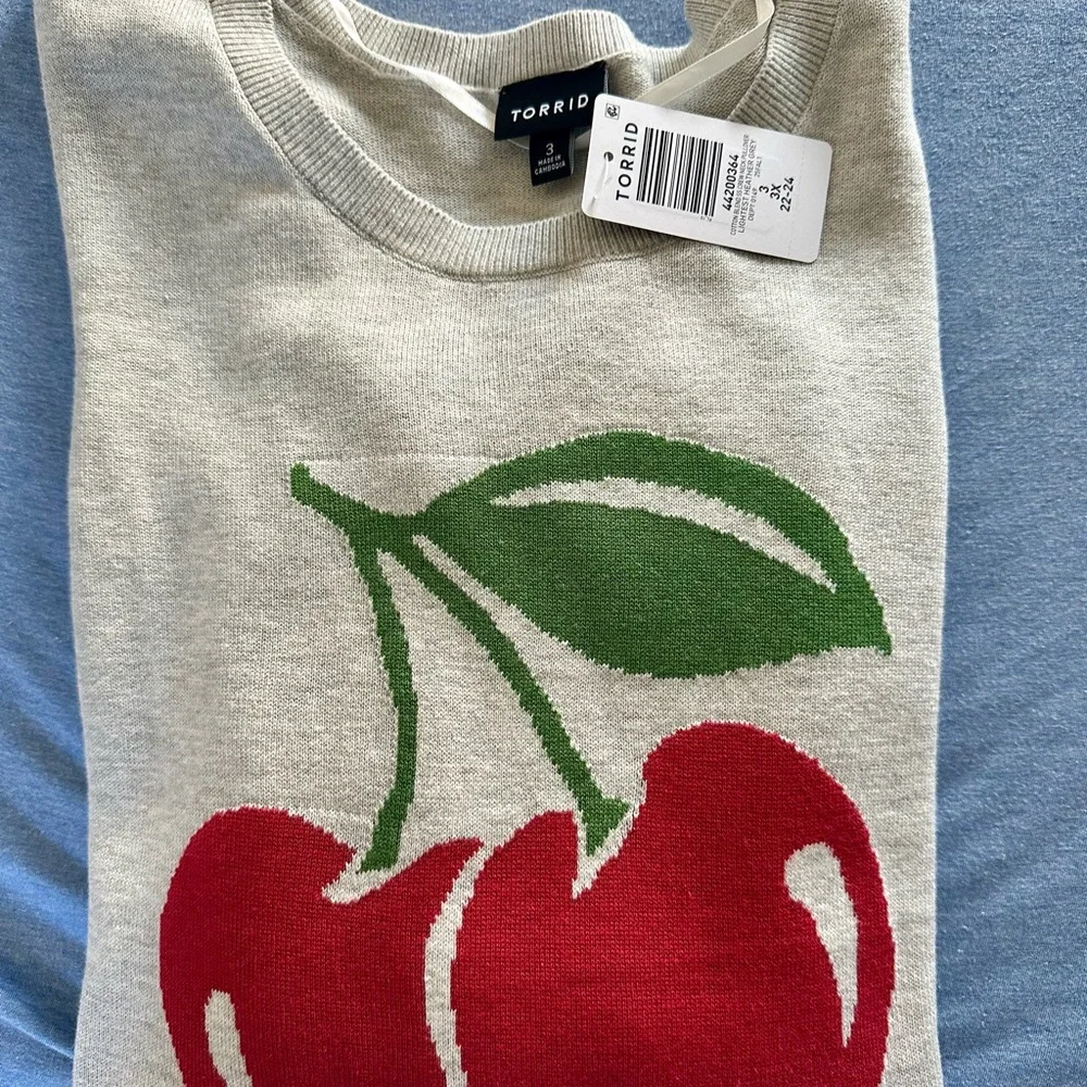 Torrid Gray Sweater with Cherry Green Leaf Design - Picture 3 of 5